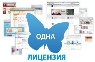 неограниченное количество сайтов на одной лицензии Мультисайтовость